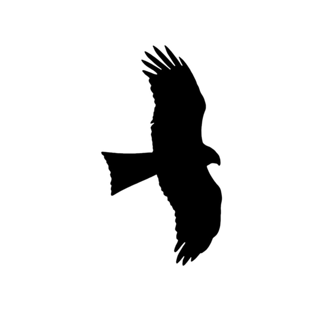 Black Kite Carpentry